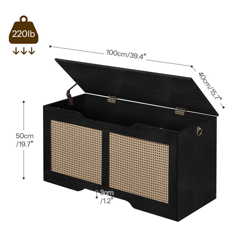 Beachcrest Home™ Bayne Blanket Storage Bench with Rattan & Reviews